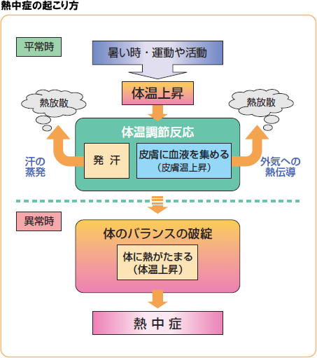 熱中症の起こり方